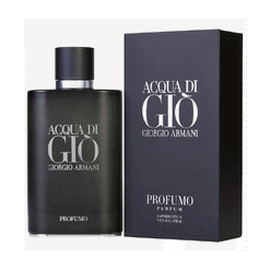 Perfume Acqua di Gio Profumo