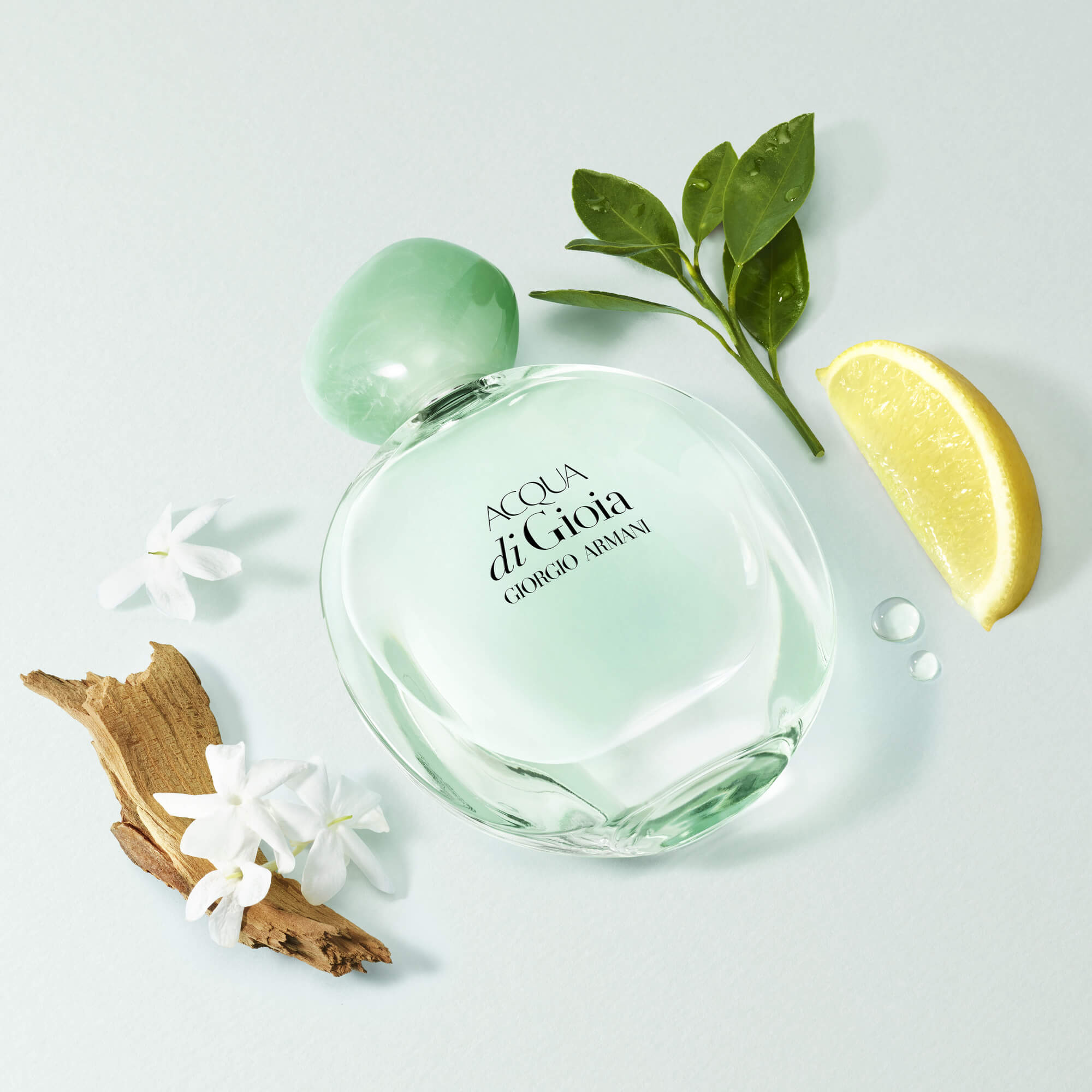 Perrfume-acqua-di-gioia-marca-giorgio-armani-equivalencia